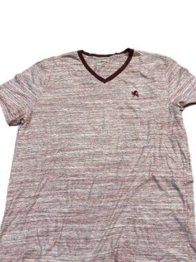Men’s Express V-neck T-shirt